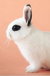 像素游戏《彩虹海》登陆Switch及PC 夏季上线